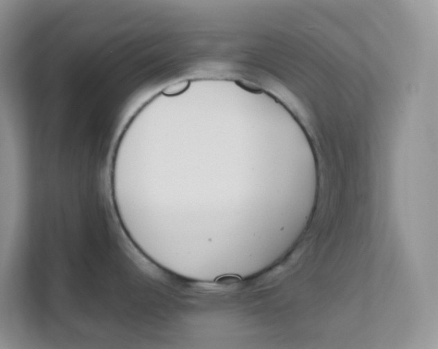 X0000111371344200907311025