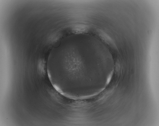 X0000111371346200907311025