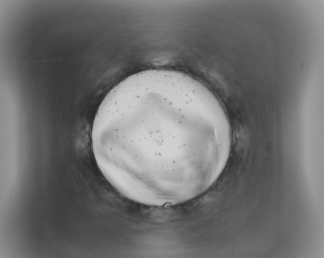 X0000111371349200907311025