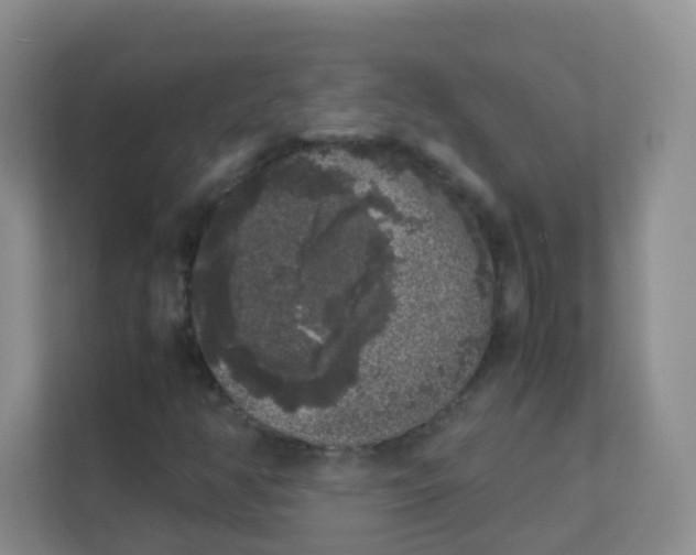 X0000111371350200907311025