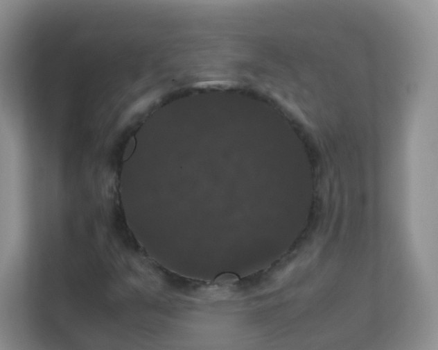 X0000111371351200907311025