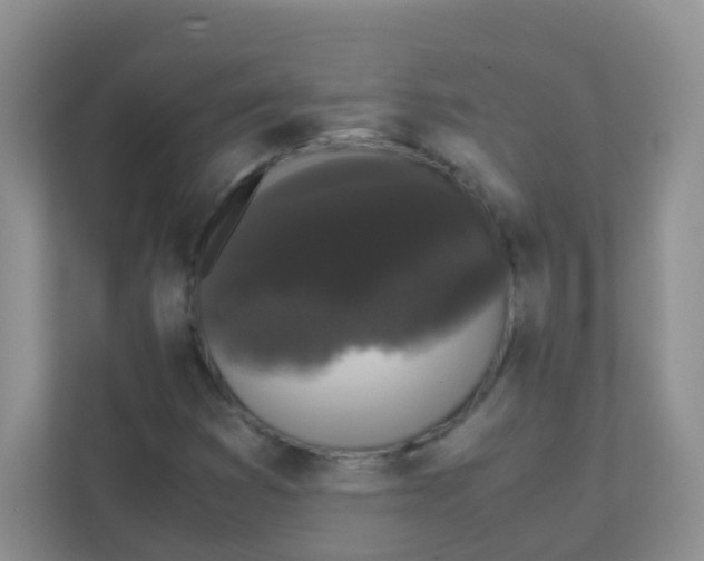 X0000111371353200907311025