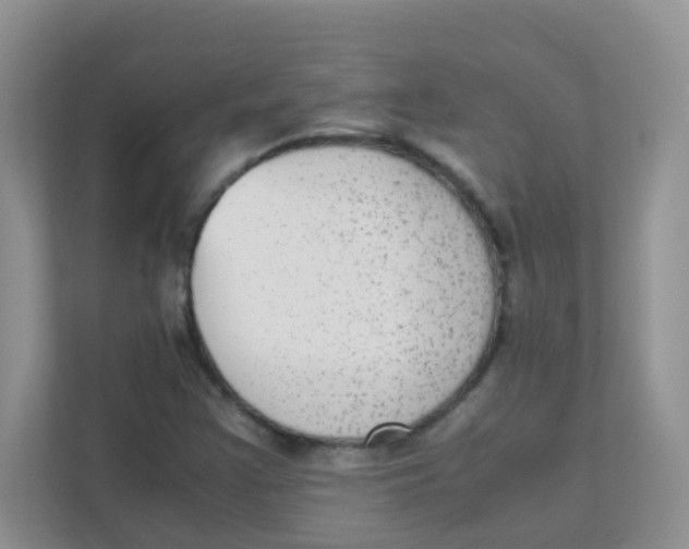 X0000111371355200907311025