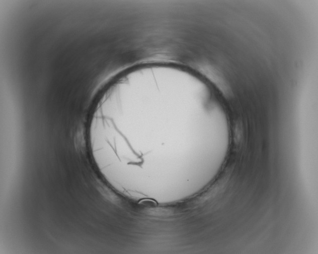 X0000111371356200907311025