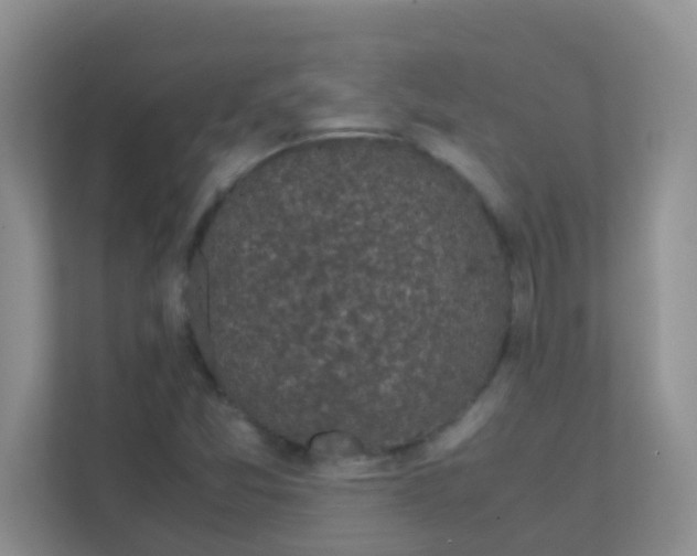 X0000111371357200907311025