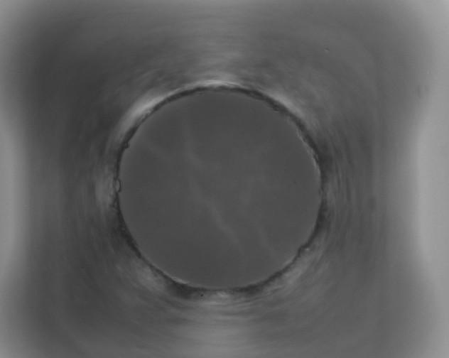 X0000111371359200907311025