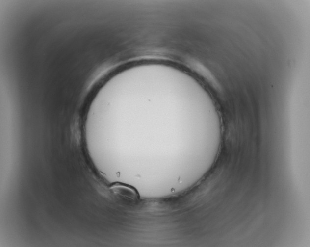 X0000111371360200907311025