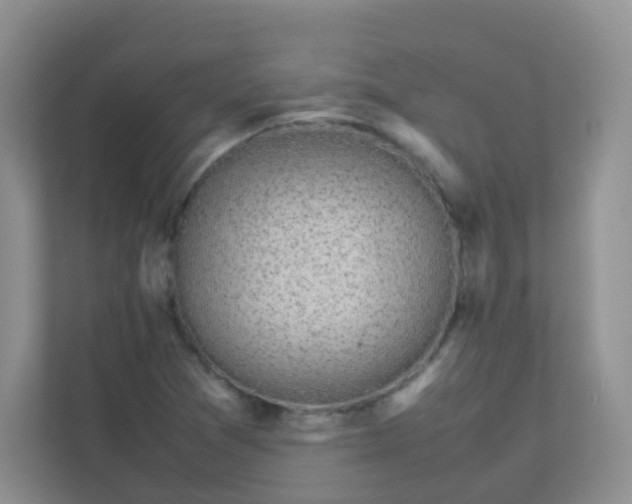 X0000111371361200907311024