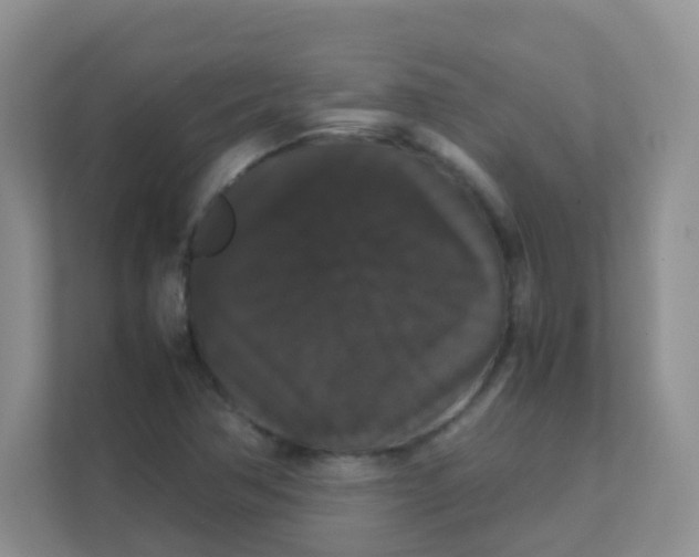 X0000111371362200907311024