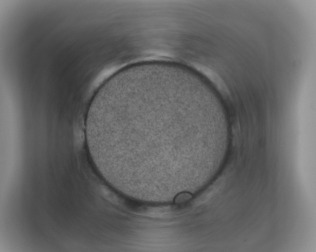 X0000111371363200907311024