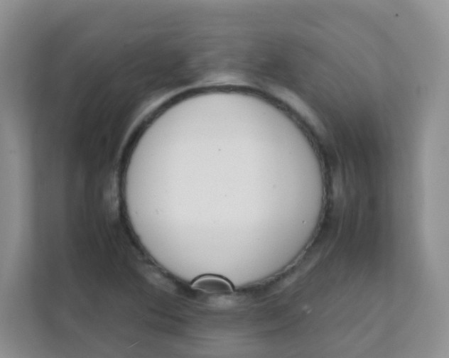 X0000111371364200907311024