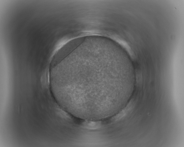 X0000111371365200907311024