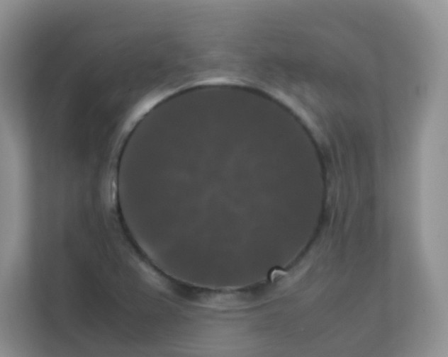 X0000111371367200907311024