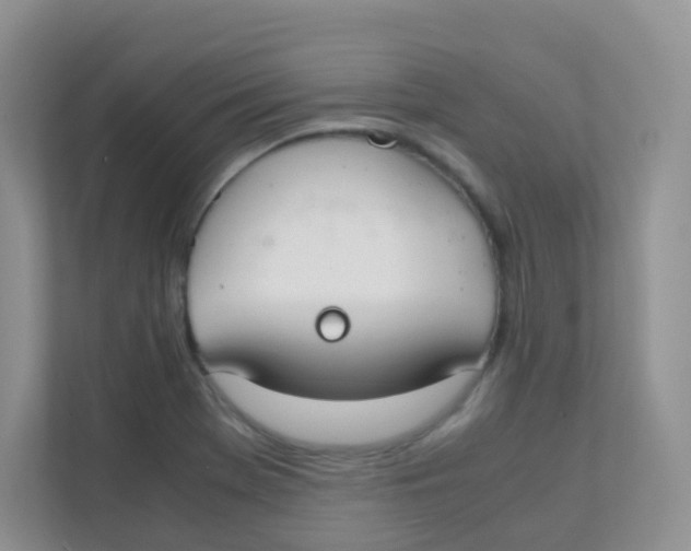 X0000111371369200907311024