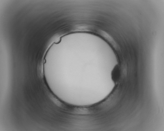 X0000111371370200907311024