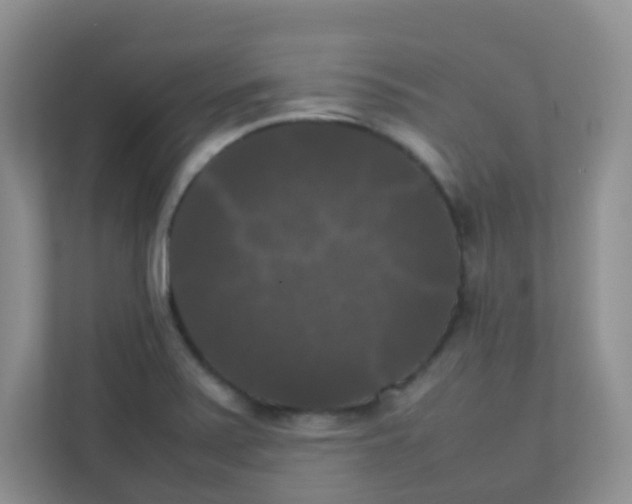 X0000111371371200907311024