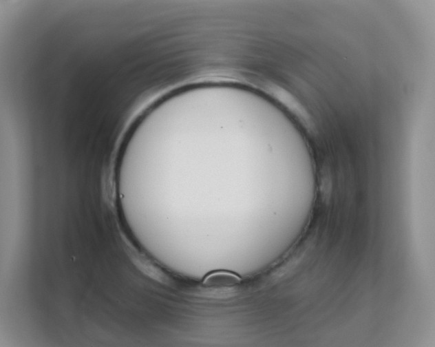 X0000111371372200907311024