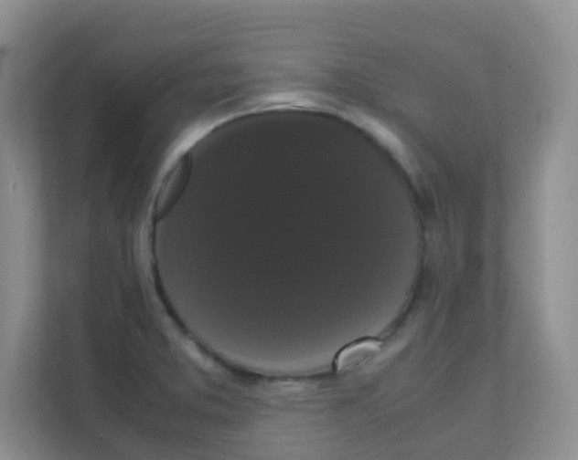 X0000111371373200907311024