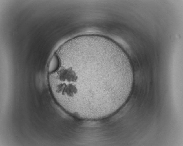 X0000111371374200907311024