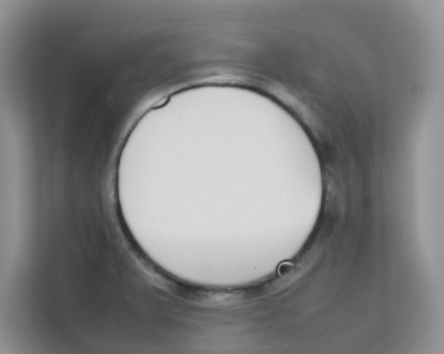 X0000111371375200907311024