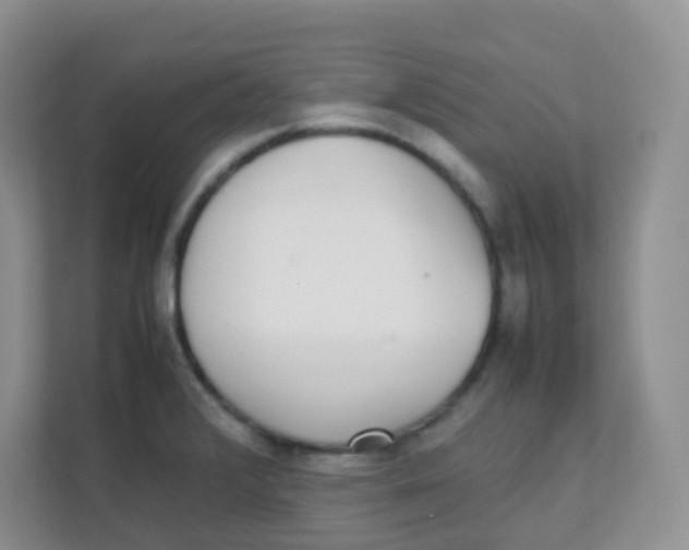 X0000111371376200907311024