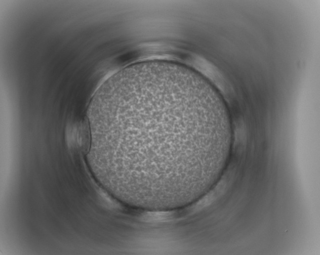 X0000111371377200907311024