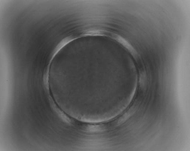 X0000111371378200907311024