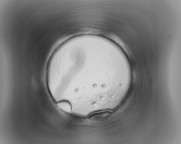 X0000111371379200907311024