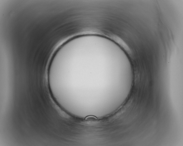 X0000111371380200907311024