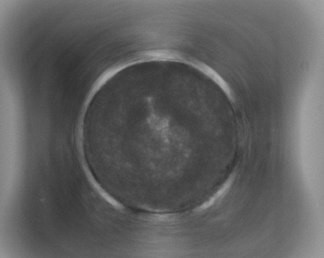 X0000111371381200907311024