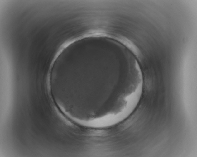 X0000111371382200907311024