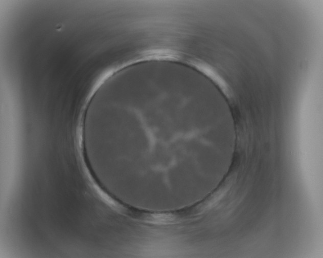 X0000111371383200907311024