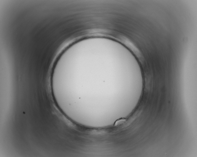 X0000111371384200907311024