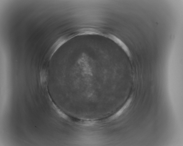 X0000111371385200907311024