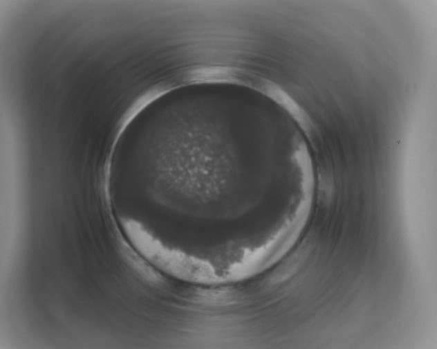 X0000111371386200907311024