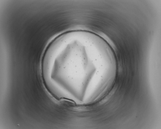 X0000111371388200907311024