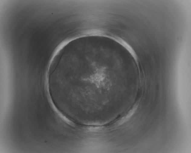 X0000111371389200907311024