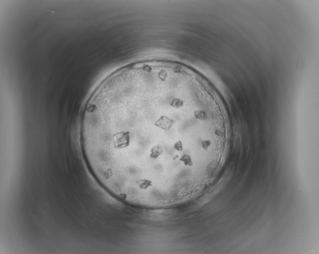 X0000111371390200907311024