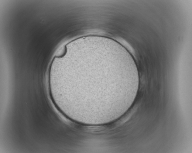 X0000111371391200907311024