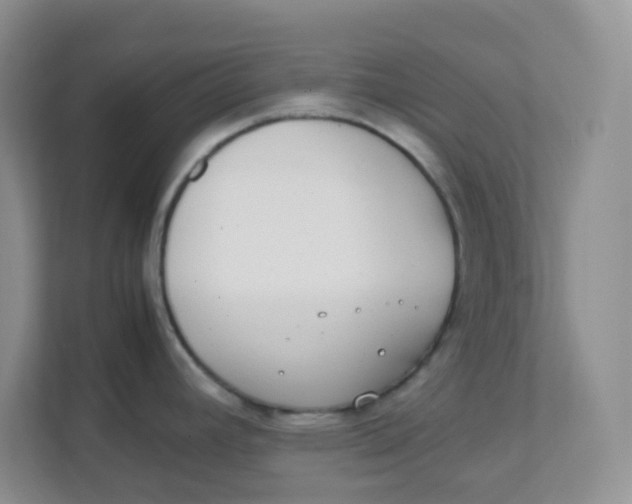 X0000111371392200907311024