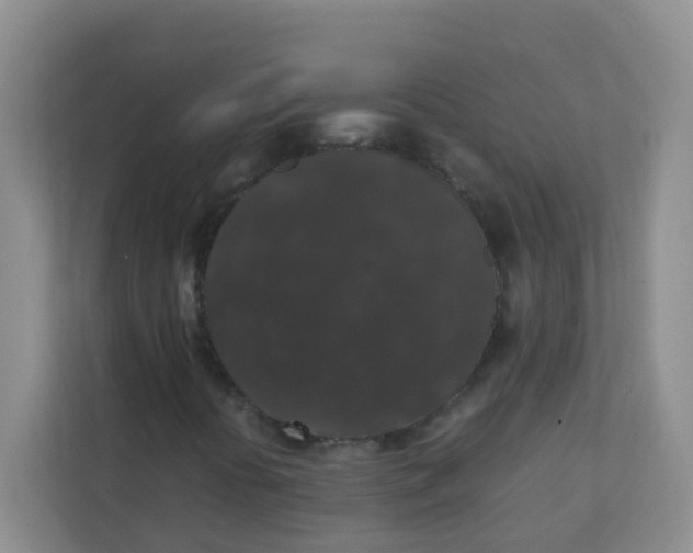 X0000111371394200907311023