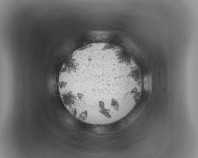 X0000111371395200907311023