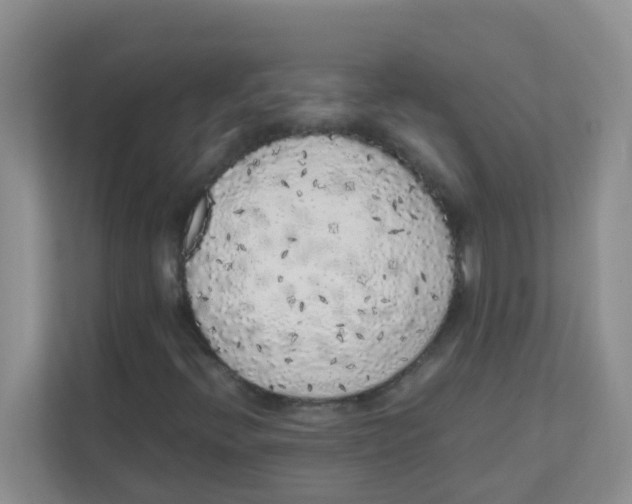 X0000111371396200907311024