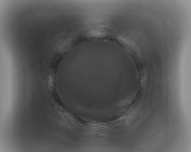 X0000111371397200907311024