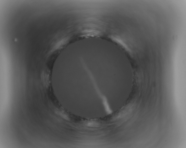 X0000111371399200907311024