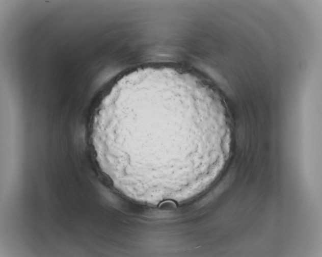 X0000111371402200907311024