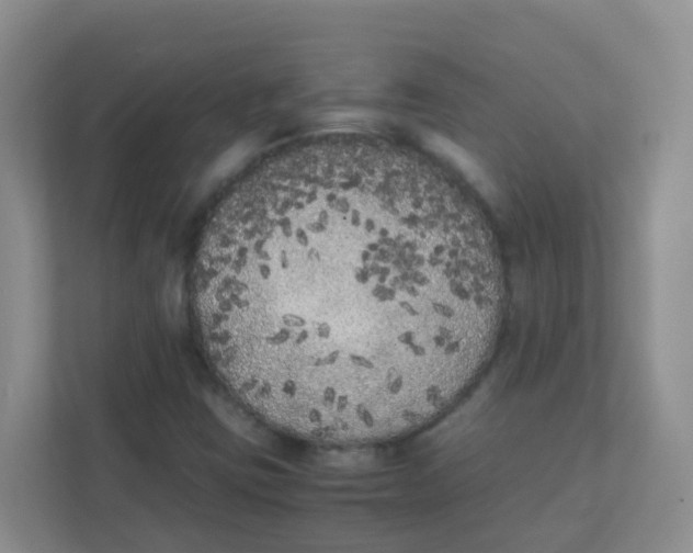 X0000111371403200907311024