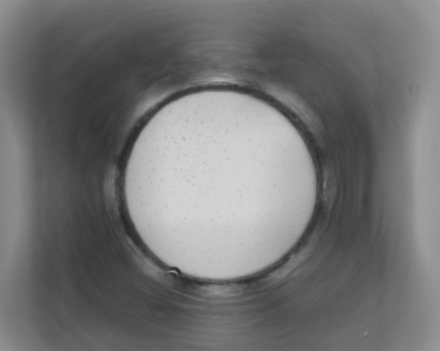 X0000111371404200907311024