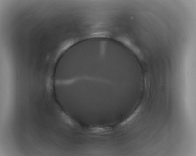 X0000111371405200907311024