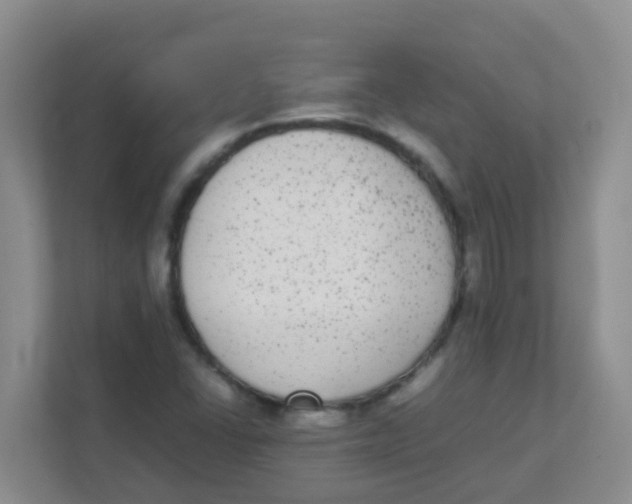 X0000111371406200907311024